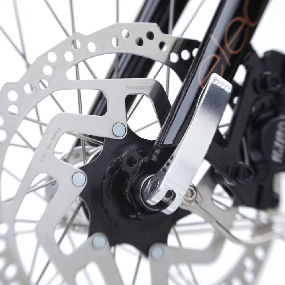 Bicycles Electra Townie GO! 5i Step-over 26"