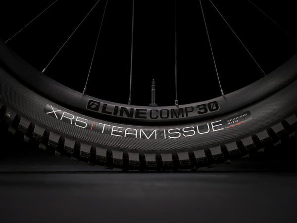 Bicycles Trek Fuel EX 8 Gen 6 XT 29 Wheels