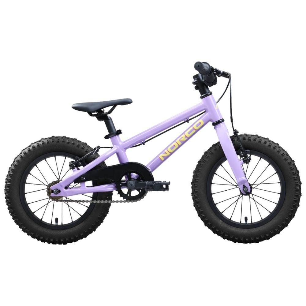 Bicycles Norco Storm 14