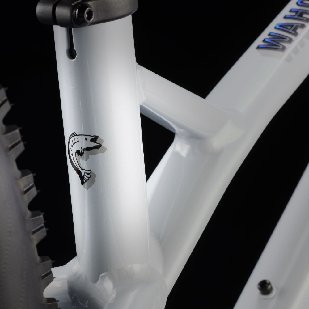 Bicycles Trek Wahoo 24" Trail